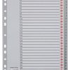 Regiszter, műanyag, A4, 1-31, ESSELTE, szürke